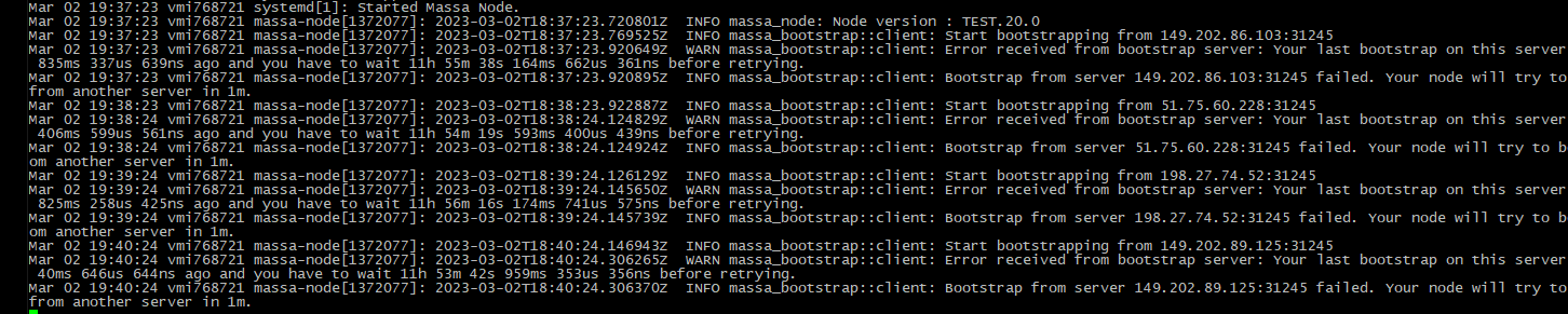 Installing the Massa node from the official binary